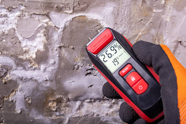 Attic Mold Removal in Kalaheo, HI