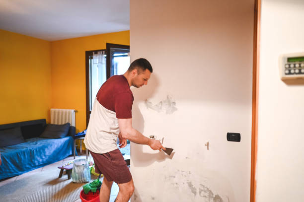 Best Residential Mold Removal  in Kalaheo, HI